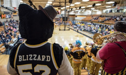 Huskies Gift Card - Blizzard T Husky standing with the pep band at a Tech game